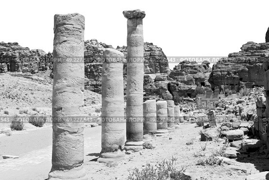 in petra jordan the antique street full of columns and architecture heritage. Стоковое фото, агентство Ingram Publishing / Фотобанк Лори