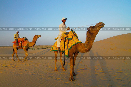 India Camel Riders in Desert, India India CWO_0119India, Jaisalmer, camel riding. Редакционное фото, агентство BE&W Photo / Фотобанк Лори