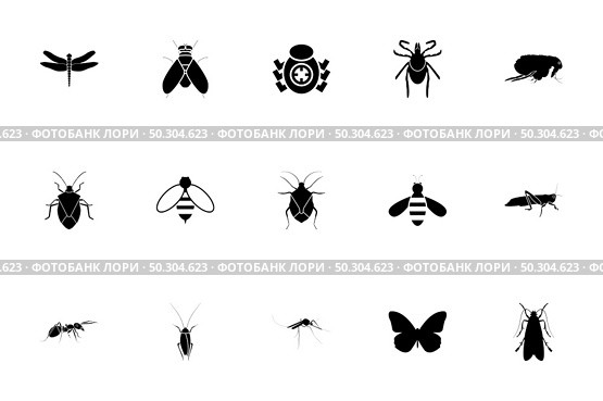 Insects black color set solid style vector illustration. Insects black color set solid style image. Стоковая иллюстрация, агентство Ingram Publishing / Фотобанк Лори