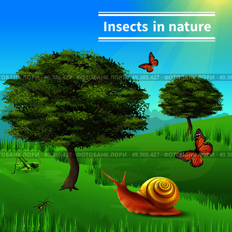 Insects in nature title realistic composition poster with grasshopper ants butterflies snail grass and trees vector illustration . Snail Insects Nature Poster. Стоковая иллюстрация, агентство Ingram Publishing / Фотобанк Лори