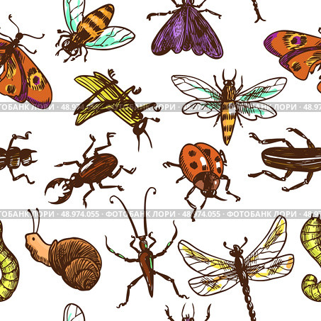 Insects sketch colored decorative seamless pattern with bug butterfly dragonfly vector illustration. Стоковая иллюстрация, агентство Ingram Publishing / Фотобанк Лори
