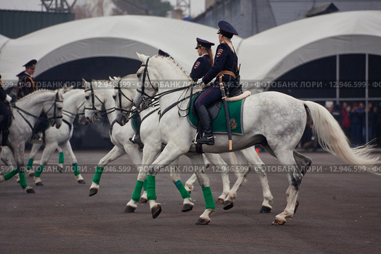 Interpolitex-2015. Конная полиция. Редакционное фото, фотограф Julia Shepeleva / Фотобанк Лори
