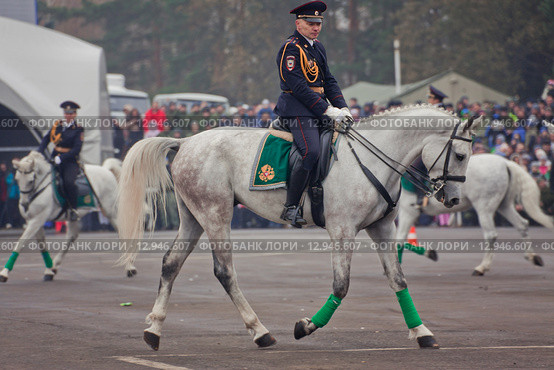 Interpolitex-2015. Конная полиция. Редакционное фото, фотограф Julia Shepeleva / Фотобанк Лори