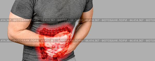 Intestinal inflammation. highlighted intestines. Irritable Bowel Syndrome. Abdominal pain man. Large intestine on man body, stomachache diarrhea symptom or food poisoning. copy space. Стоковое фото, фотограф Павел Муравьев / Фотобанк Лори