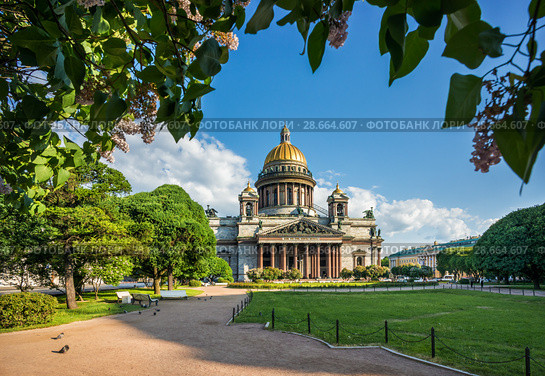 Исаакиевский собор и сирень. St. Isaac's Cathedral  and lilacs (2018 год). Стоковое фото, фотограф Baturina Yuliya / Фотобанк Лори