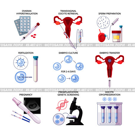Isolated flat in vitro fertilization IVF icon set with fertilization pregnancy embryo culture transfer and other descriptions vector illustration. Стоковая иллюстрация, агентство Ingram Publishing / Фотобанк Лори