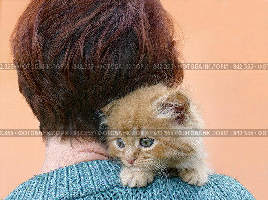 Испуганный котенок на плече женщины. Стоковое фото, фотограф Irina Opachevsky / Фотобанк Лори