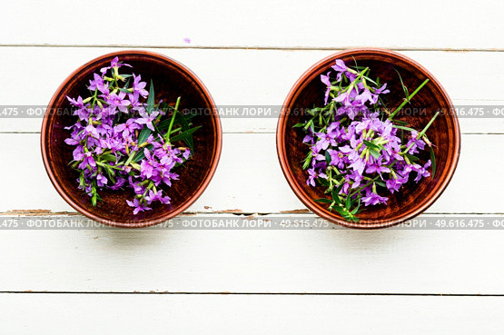 Ivan tea in a bowl.Blooming willow herb in herbal medicine.Medicative blooming sally. Willow-herb or blooming sally. Стоковое фото, агентство Ingram Publishing / Фотобанк Лори