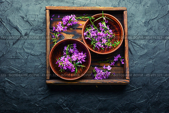Ivan tea in a clay bowl. Blooming willow herb in herbal medicine.Russian tea. Healthful blooming sally. Стоковое фото, агентство Ingram Publishing / Фотобанк Лори