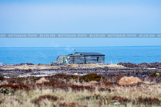Избушка охотников и рыбаков на берегу Белого моря. Стоковое фото, фотограф Анна Аникова / Фотобанк Лори