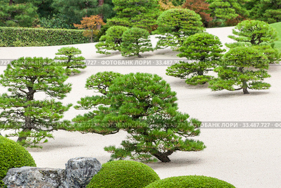 Japanese garden, adachi. Стоковое фото, фотограф Gagara / Фотобанк Лори
