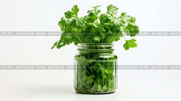 jar cilantro on white ai generated. Стоковое AI-изображение, AI-художник Vectorwin / Фотобанк Лори