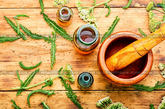 Jar of yarrow tincture.Medicine made from healing herbs.Alternative medicine concept. Yarrow in herbal medicine,achillea millefolium. Стоковое фото, агентство Ingram Publishing / Фотобанк Лори