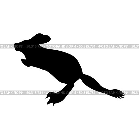 Jerboa Silhouette. Smooth and clean lines. High detailed Jerboa silhouette. Vector Illustration.. rodents silhouettes. Стоковая иллюстрация, агентство Ingram Publishing / Фотобанк Лори