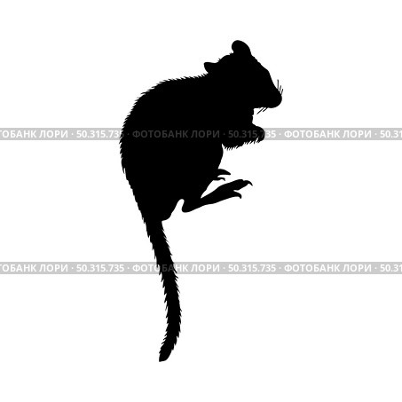 Kangaroo rat silhouette. Smooth and clean lines. High detailed Kangaroo rat silhouette. Vector Illustration.. beavers silhouettes set. Стоковая иллюстрация, агентство Ingram Publishing / Фотобанк Лори