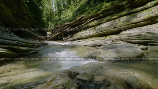 Кавказские горы. Каньон реки Кудепста. Субтропический лес. The Caucasus Mountains. Kudepsta River Canyon. Subtropical forest. Стоковое видео, видеограф Евгений Романов / Фотобанк Лори