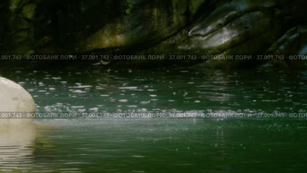 Кавказские горы. Каньон реки Кудепста. Субтропический лес. The Caucasus Mountains. Kudepsta River Canyon. Subtropical forest. Стоковое видео, видеограф Евгений Романов / Фотобанк Лори