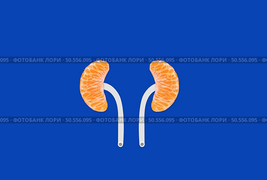 Kidney shape with orange with isolated Colour background. World Kidney Day is observed annually on the 2nd Thursday in March. Стоковое фото, агентство Ingram Publishing / Фотобанк Лори