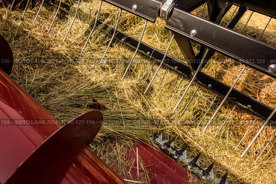 Комбайн за работой крупным планом/ Combine harvester closeup at work harvesting a field of crops. Стоковое фото, фотограф Iva Noel / Фотобанк Лори