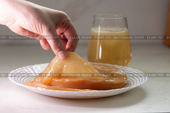 Kombucha Fermentation Process With SCOBY Being Lifted From the Brew. Стоковое фото, фотограф Ольга Коваленко / Фотобанк Лори