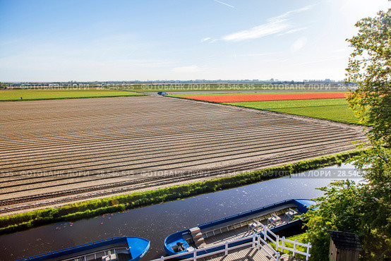 Королевский парк цветов Кёкенхоф (Keukenhof). Лиссе. Нидерланды (2018 год). Редакционное фото, фотограф Сергей Афанасьев / Фотобанк Лори