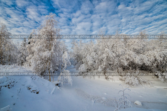 Красивый зимний лес в белом снегу. Стоковое фото, фотограф Яковлев Сергей / Фотобанк Лори