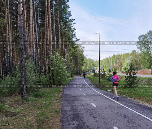 Красноярск - эко-парк Гремячья грива (2023 год). Редакционное фото, фотограф Максим Гулячик / Фотобанк Лори