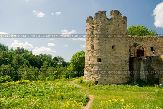 Крепость Копорье. Ленинградская область (2013 год). Стоковое фото, фотограф Александр Щепин / Фотобанк Лори