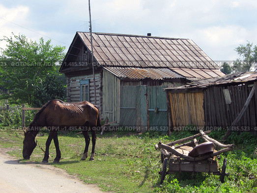 Крестьянское хозяйство в деревне Карагайка. Стоковое фото, фотограф Татьяна Злобина / Фотобанк Лори
