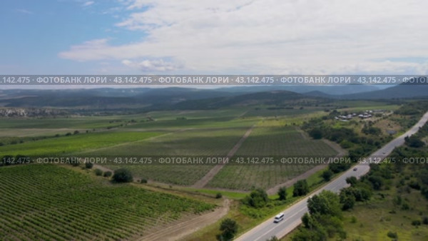 Крымский пейзаж с виноградниками (2024 год). Редакционное видео, видеограф Андрей Бойков / Фотобанк Лори
