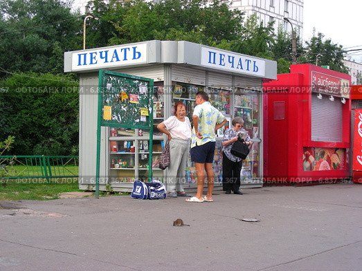 Крыса гуляет по тротуару не обращая внимания на людей, Щелковское шоссе, Москва (2012 год). Редакционное фото, фотограф lana1501 / Фотобанк Лори