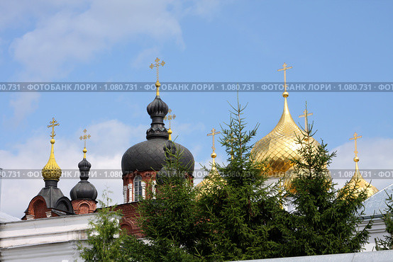 Купола Старого и Нового Богоявленского собора. Богоявленско Анастасиин монастырь г. Кострома. Стоковое фото, фотограф ElenArt / Фотобанк Лори