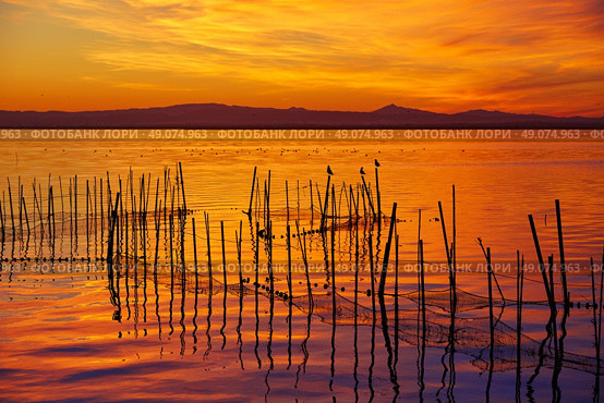 La Albufera lake sunset in El Saler of Valencia at Spain. Стоковое фото, агентство Ingram Publishing / Фотобанк Лори