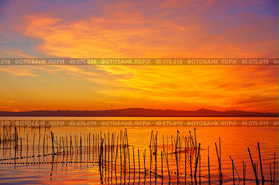 La Albufera lake sunset in El Saler of Valencia at Spain. Стоковое фото, агентство Ingram Publishing / Фотобанк Лори