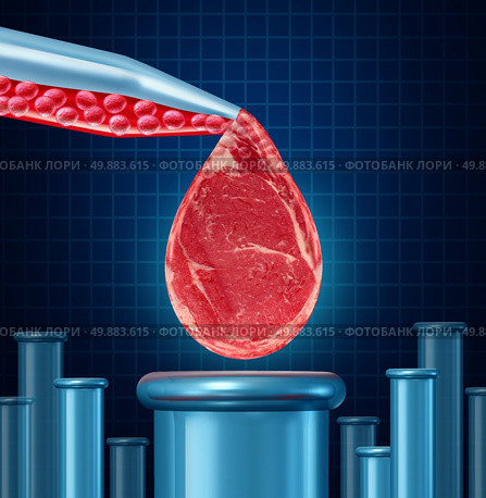 Lab grown meat concept as laboratory equipment developing artifical beef by cultivating animal tissue in vtro resulting in cruelty free synthetic protien that is edible as a symbol of future food engineering technology. Стоковое фото, агентство Ingram Publishing / Фотобанк Лори