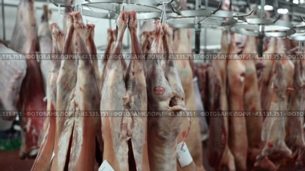 Lamb carcasses hanging on hooks in a slaughterhouse. Стоковое видео, видеограф Яков Филимонов / Фотобанк Лори