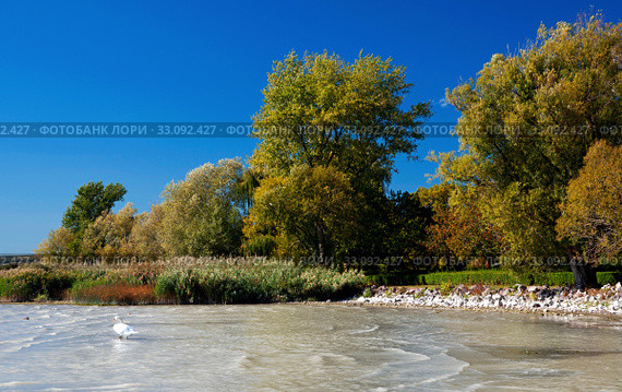Landscape at Lake Balaton,Hungary. Стоковое фото, фотограф Gábor Páll / PantherMedia / Фотобанк Лори
