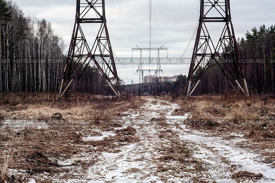 Landscape with power pylons of a power Line in the cleared area of the forest. High voltage power lines above frost field and cloudy morning sky. Стоковое фото, фотограф Константин Григорьев / Фотобанк Лори