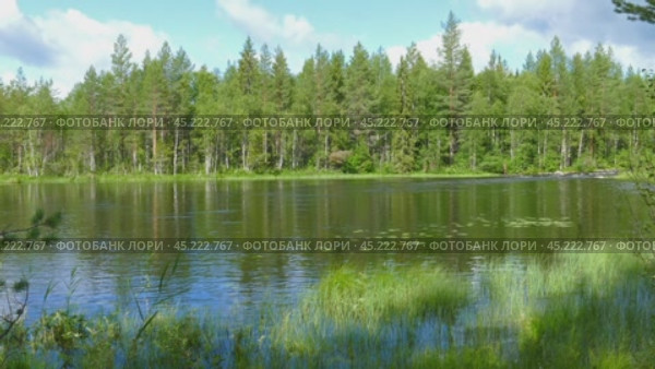 landscape with river and forest in Karelia. Стоковое видео, видеограф Михаил Коханчиков / Фотобанк Лори