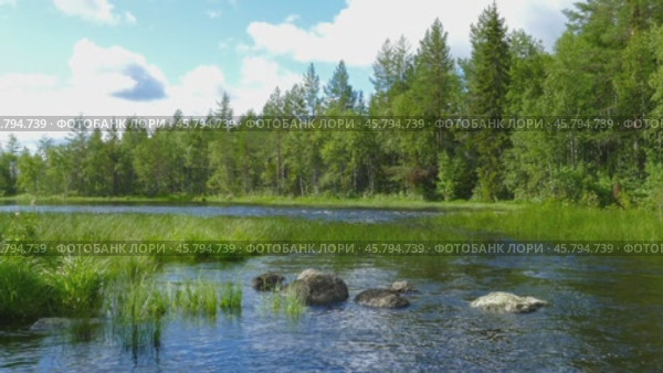 Landscape with river and forest in Karelia. Стоковое видео, видеограф Михаил Коханчиков / Фотобанк Лори