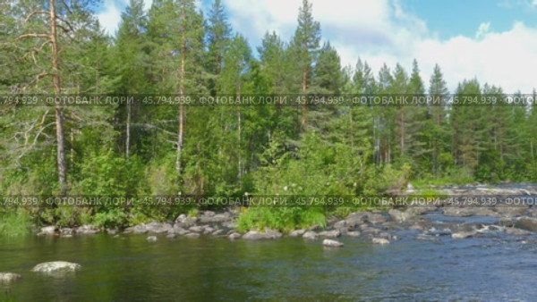 Landscape with river and forest in Karelia. Стоковое видео, видеограф Михаил Коханчиков / Фотобанк Лори