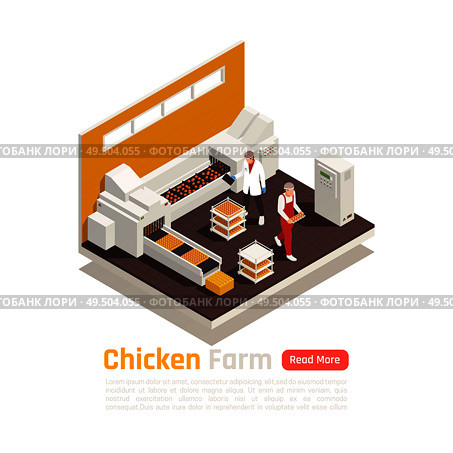 Layer poultry farming production isometric element with chicken eggs on automated  conveyor belt packaging system vector illustration. Стоковая иллюстрация, агентство Ingram Publishing / Фотобанк Лори