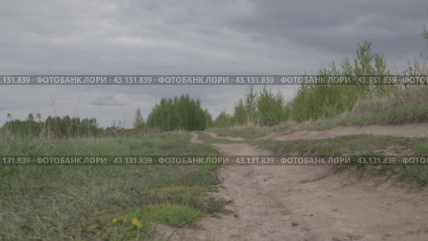 Лесная проселочная дорога. Стоковое видео, видеограф Александр Ермишин / Фотобанк Лори