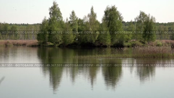 Лесное озеро на закате солнца в Подмосковье. Май. Forest lake at sunset in the Moscow region. May. Стоковое видео, видеограф Горшков Александр / Фотобанк Лори