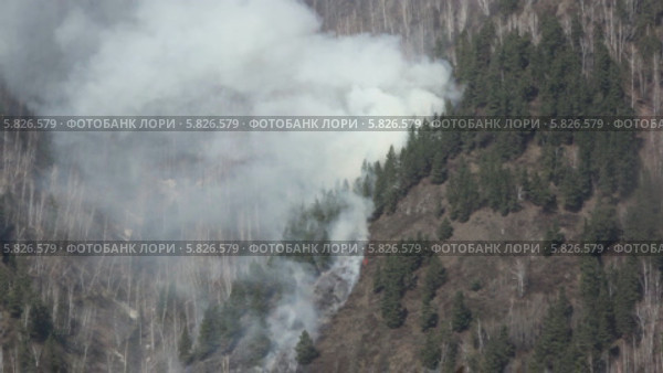 Лесной пожар. Стоковое видео, видеограф Галина Михалишина / Фотобанк Лори