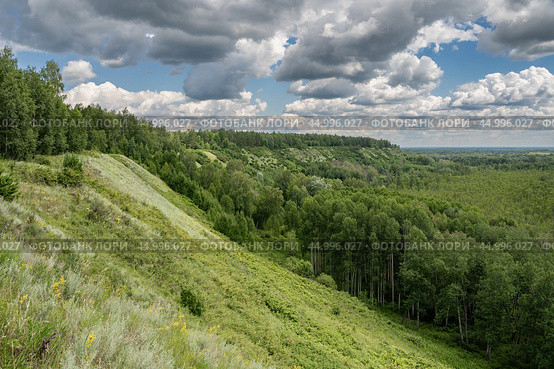 Лесостепные ландшафты Кожевниковского Приобья. Стоковое фото, фотограф Алексей Прокопьев / Фотобанк Лори