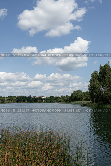Летний облачный полдень на озере. Стоковое фото, фотограф Ольга Войтехович / Фотобанк Лори