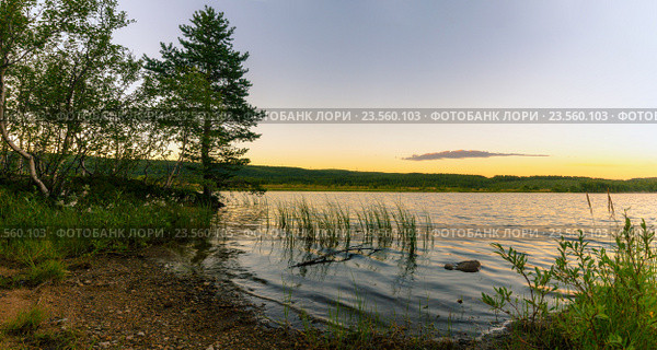 Летний вечер на берегу лесного озера. Стоковое фото, фотограф Слуцкий Александр Сергеевич / Фотобанк Лори