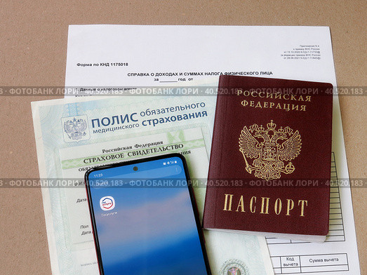 Личные данные в электронном приложении "Государственные услуги": паспорт гражданина РФ, медицинский полис, СНИЛС и справка о доходах (2023 год). Редакционное фото, фотограф Татьяна Т / Фотобанк Лори