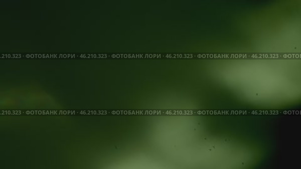 Light leaks effect. Artistic light on a black background. Effect for video stylization. Стоковое видео, видеограф Семён Прудий / Фотобанк Лори